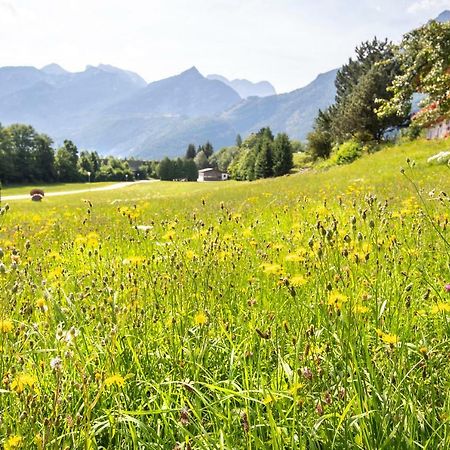 Pension St. Nikolaus Golling an der Salzach Exterior foto