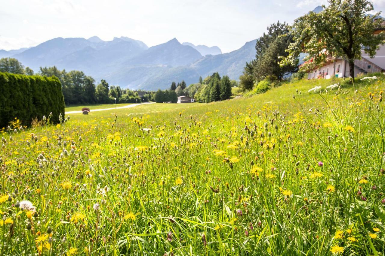 Pension St. Nikolaus Golling an der Salzach Exterior foto